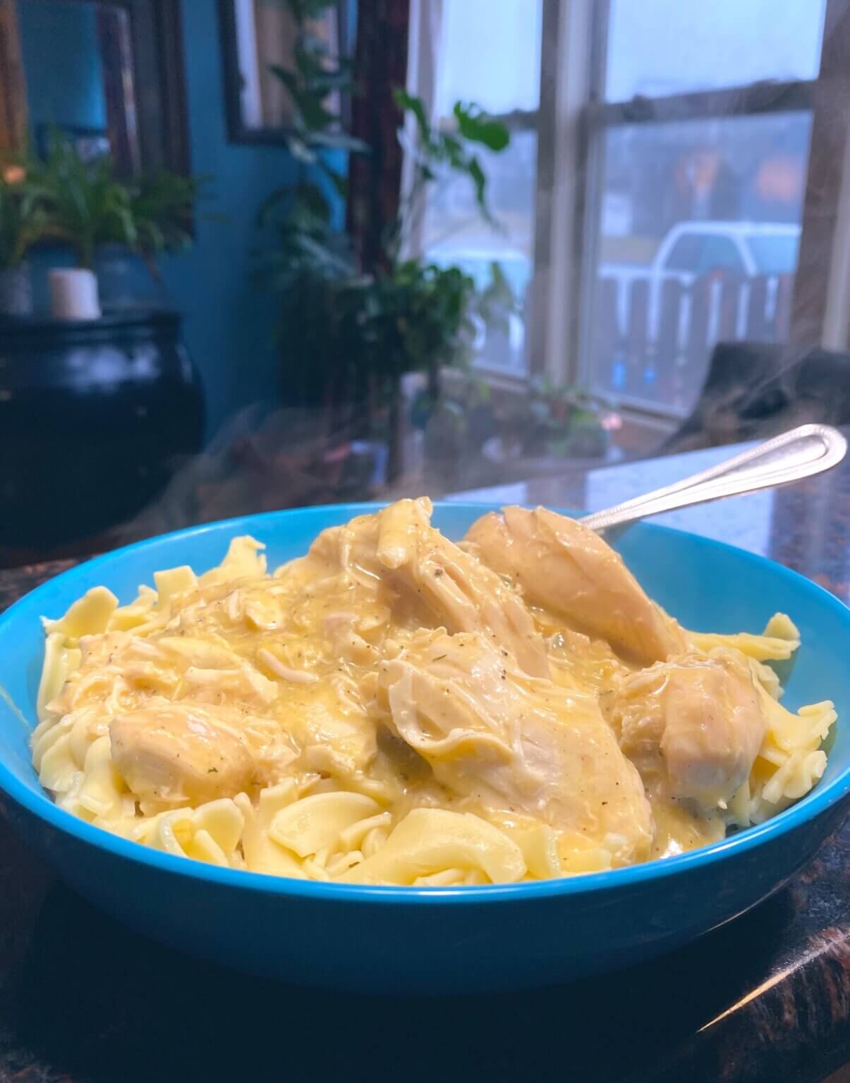 Slow Cooked Chicken & Gravy