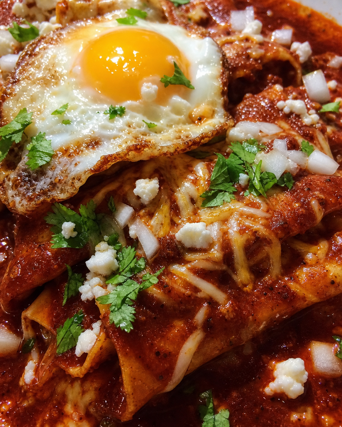 Red Chile Enchiladas