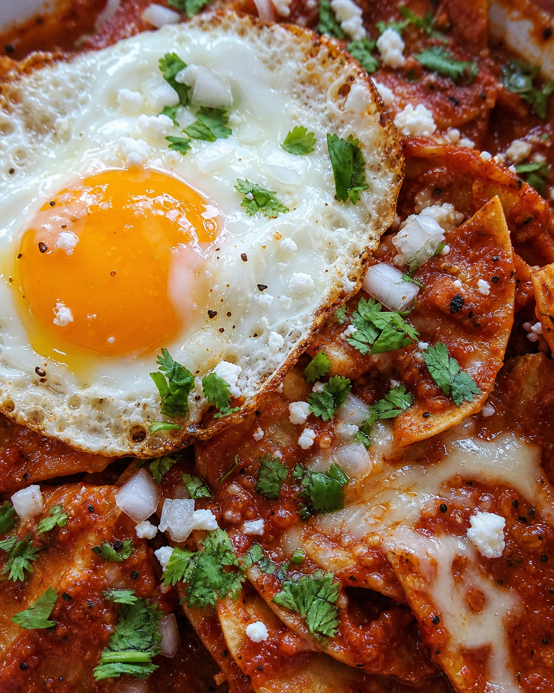 Red Chile Enchiladas