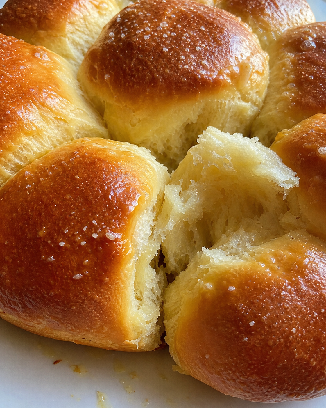 Yeast Big Fat Rolls
