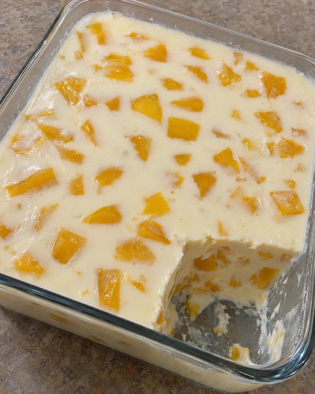 3-Milk Gelatin with Fruits Ingredients in the main serving dish
