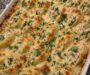 Chicken Broccoli Alfredo Stuffed Shells