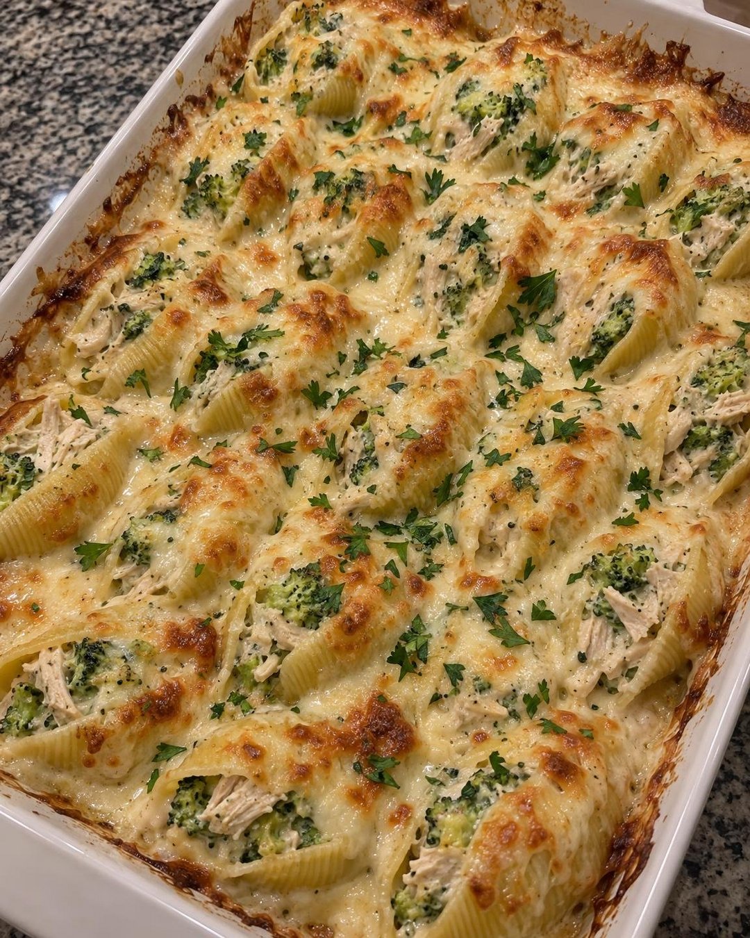 Chicken Broccoli Alfredo Stuffed Shells